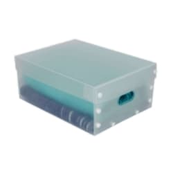 Caixa Organizadora Translucida Para Sapatos E Chinelos 270 X 370 X 150 Mm