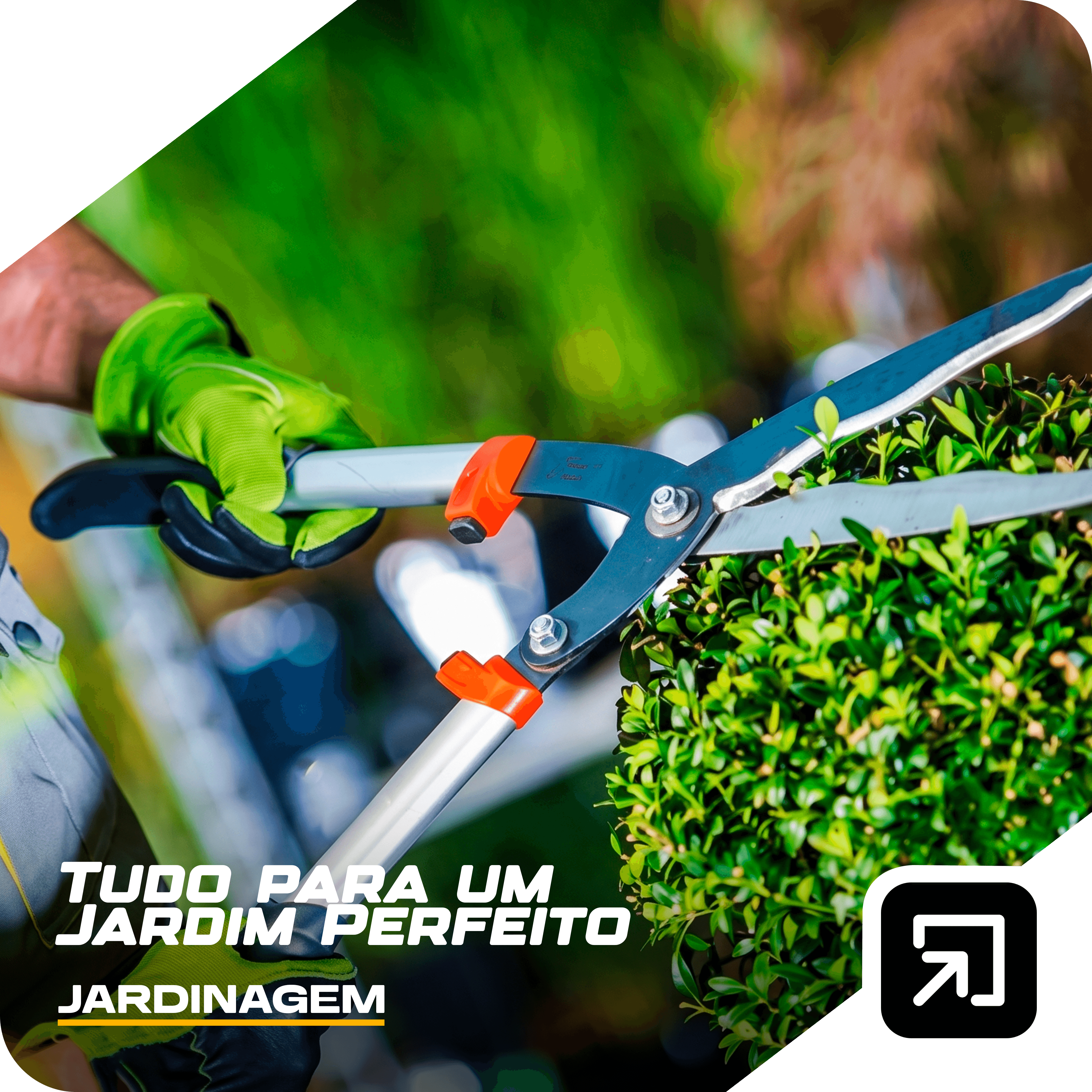 jardinagem